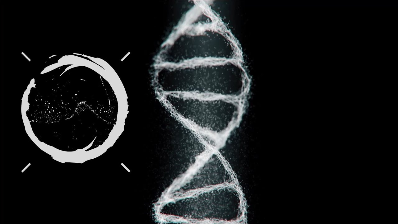 Omnerod - Satellites (Visualizer)