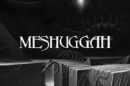 MESHUGGAH - They Move Below (Official Visualizer)